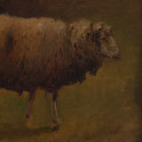 Sheep Motif